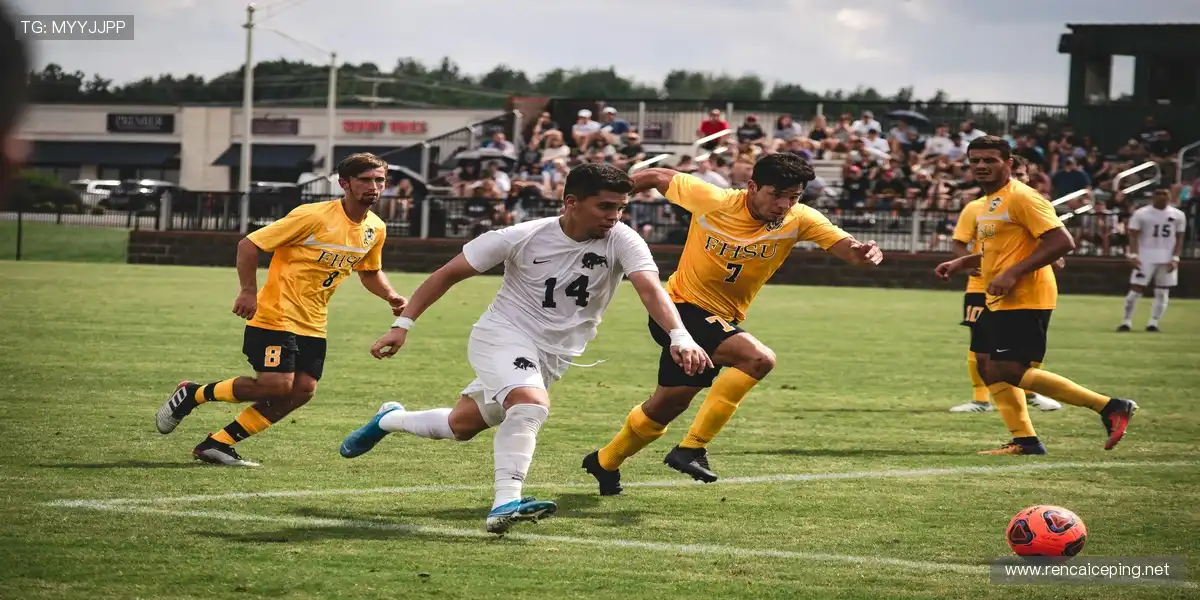 🎁球迷专属装备，让热爱触手可及！👕